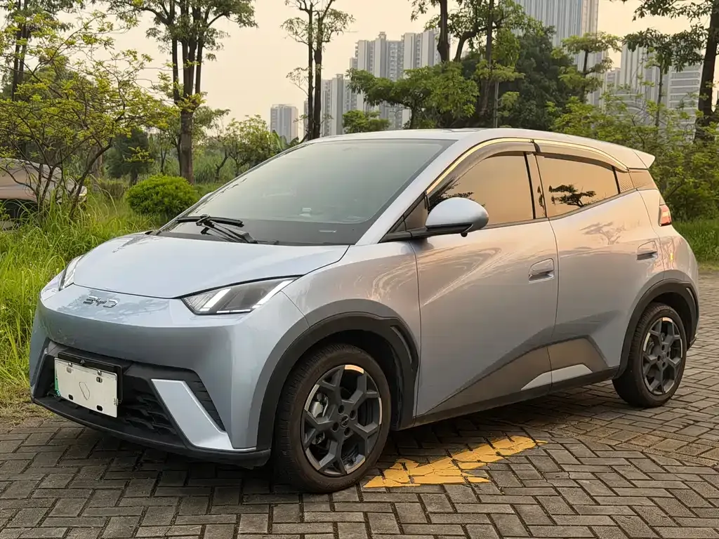 2025 BYD Seagull 305km Freedom