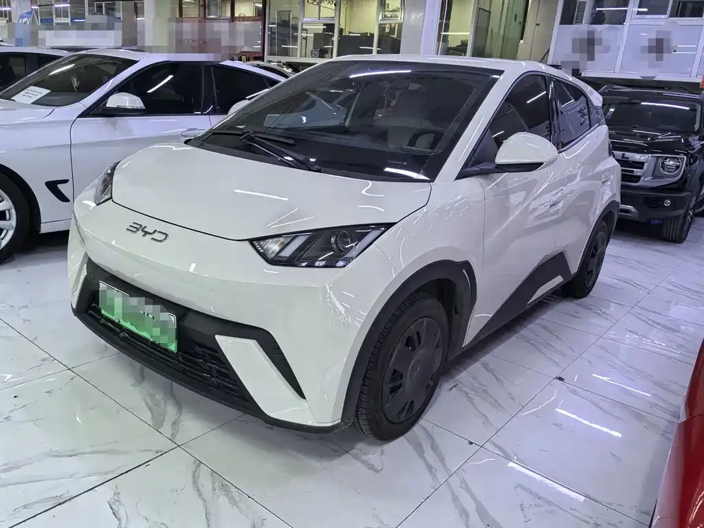 2025 BYD Seagull 305km