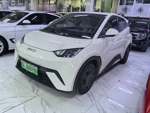2025 BYD Seagull 305km