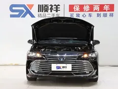 2019 Toyota Avalon Hybrid 2.5L Luxury VI, чёрный — фото 19