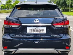 2020 Lexus RX 300 2WD Elite, синий — фото 5