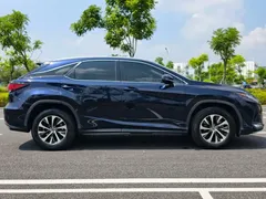 2020 Lexus RX 300 2WD Elite, синий — фото 7