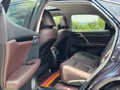 2020 Lexus RX 300 2WD Elite, синий — фото 11