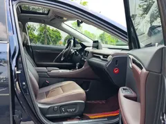 2020 Lexus RX 300 2WD Elite, синий — фото 13