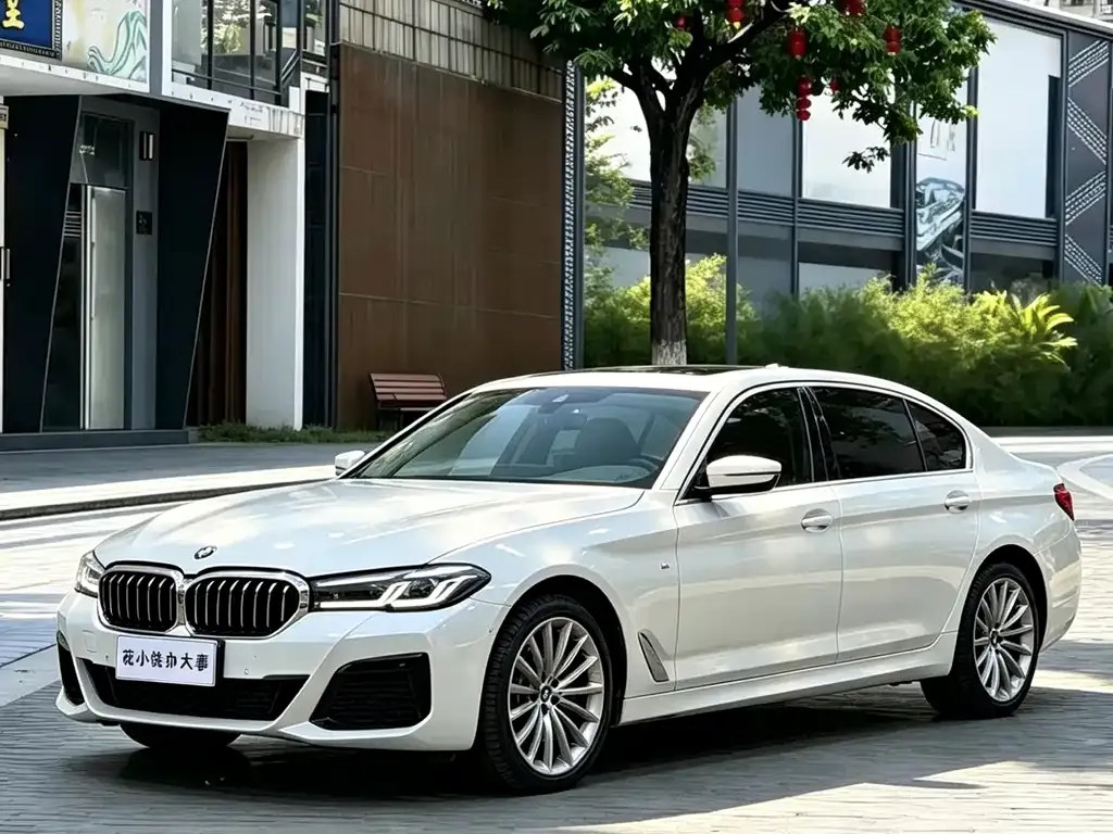 2022 BMW 5 Series 5 530Li