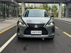 2020 Lexus RX 300 2WD Elite VI — фото 2