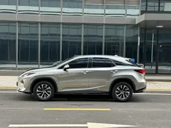 2020 Lexus RX 300 2WD Elite VI — фото 3