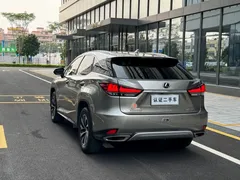 2020 Lexus RX 300 2WD Elite VI — фото 16