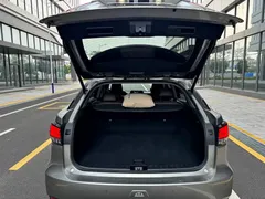2020 Lexus RX 300 2WD Elite VI — фото 18