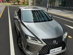 2020 Lexus RX 300 2WD Elite VI — фото 21