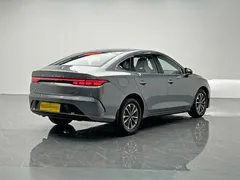 2024 BYD Destroyer 05 DM-i 55KM — фото 6