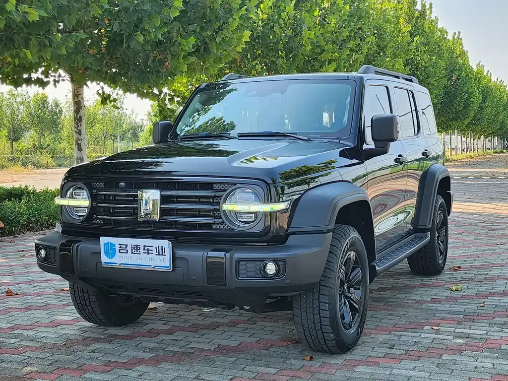 2021 Tank 300 2.0T