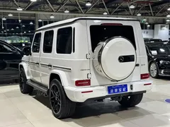 2022 Mercedes-Benz G-Class G 500, белый — фото 17