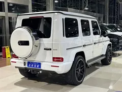 2022 Mercedes-Benz G-Class G 500, белый — фото 19