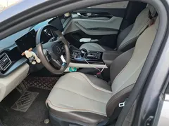 2023 BYD Qin PLUS Champion DM-i PHEV 120KM — фото 9