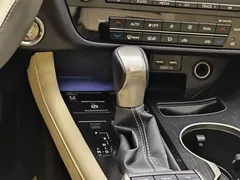 2020 Lexus RX 300 2WD Elite VI, белый — фото 19