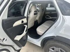 2025 BYD Yuan UP EV 301km Pilot — фото 6