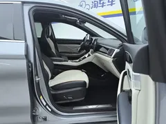 2021 BYD Song PLUS EV Flagship — фото 8