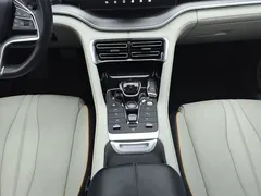 2021 BYD Song PLUS EV Flagship — фото 16