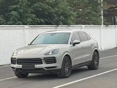 2022 Porsche Cayenne E-Hybrid 2.0T PHEV Platinum — фото 1