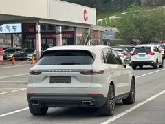 2022 Porsche Cayenne E-Hybrid 2.0T PHEV Platinum — фото 8
