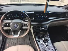 2024 BYD Qin PLUS 55KM, белый — фото 12
