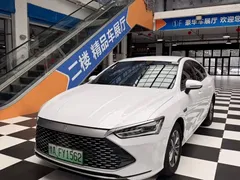 2024 BYD Qin PLUS 55KM, белый — фото 1