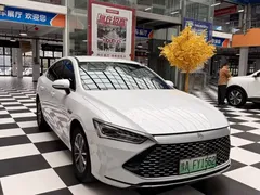 2024 BYD Qin PLUS 55KM, белый — фото 3