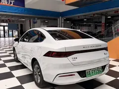 2024 BYD Qin PLUS 55KM, белый — фото 7