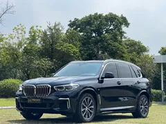 2022 BMW X5 30Li Premium M Sport Package, чёрный — фото 1