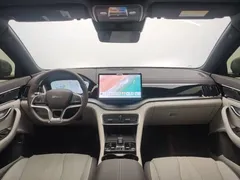 2025 BYD Song PLUS EV 520km Premium — фото 13