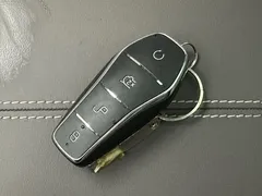 2025 BYD Song PLUS EV 520km Premium — фото 14