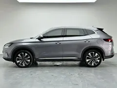 2025 BYD Song PLUS EV 520km Premium — фото 25