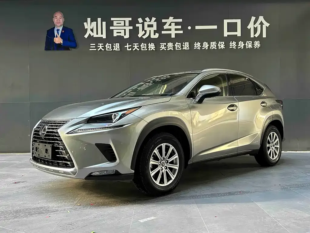 2020 Lexus NX 300h Fashion VI