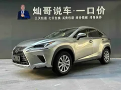 2020 Lexus NX 300h Fashion VI — фото 1