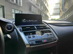 2020 Lexus NX 300h Fashion VI — фото 16