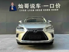2020 Lexus NX 300h Fashion VI — фото 18