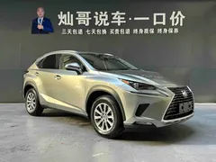 2020 Lexus NX 300h Fashion VI — фото 19