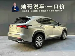 2020 Lexus NX 300h Fashion VI — фото 20