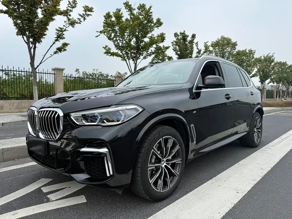 2022 BMW X5 30Li M