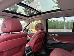 2022 BMW X5 30Li M, чёрный — фото 13