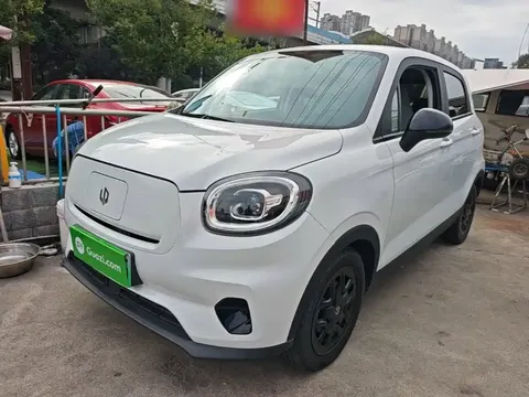 2023 Leapmotor T03 310