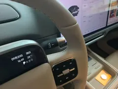 2025 Li Auto i6 2WD Standard — фото 14