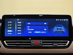 2023 Hongqi HQ9 2.0T, чёрный — фото 15