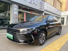 2024 BYD Destroyer 05 DM-i 55KM, чёрный — фото 1