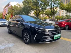 2024 BYD Destroyer 05 DM-i 55KM, чёрный — фото 3