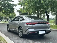 2024 BYD Qin L 120KM — фото 6