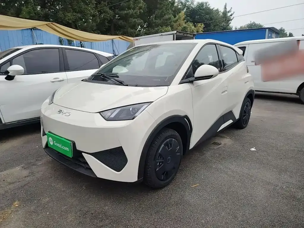 2025 BYD Seagull 305km