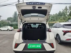2025 BYD Seagull 305km, белый — фото 19
