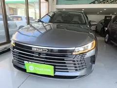2024 BYD Destroyer 05 DM-i 55KM — фото 3